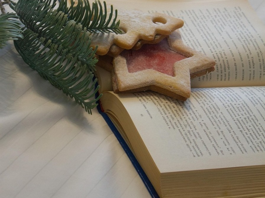 Bog med julekage og grangren